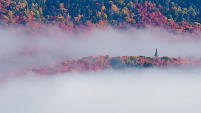 TremblantFoliage
