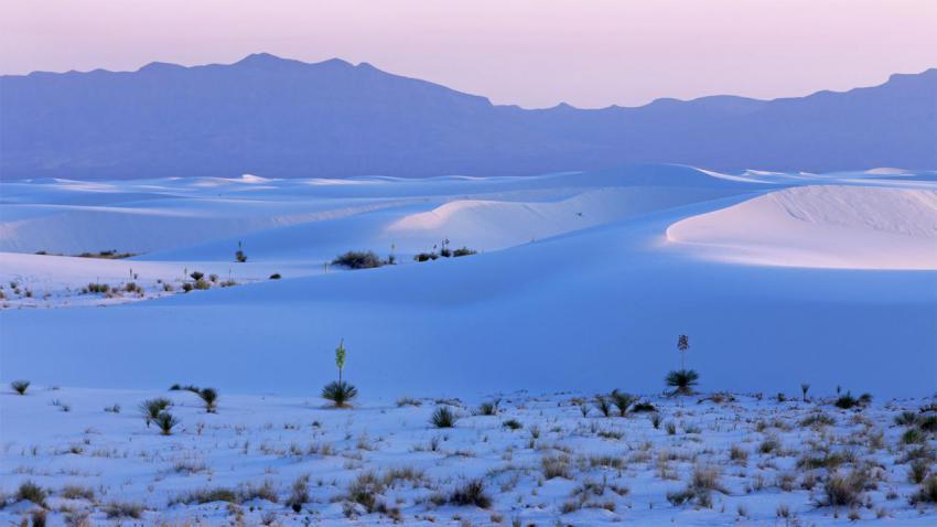 WhiteSands