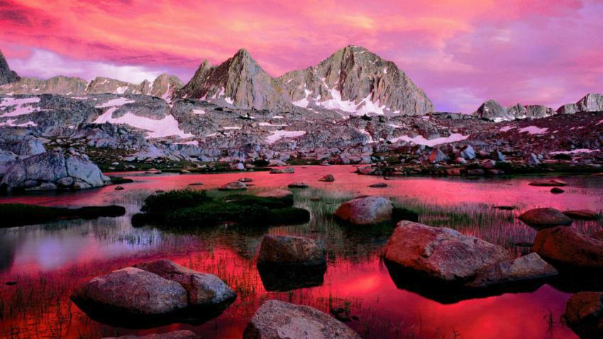 Walpaper, photo, background free download (19)