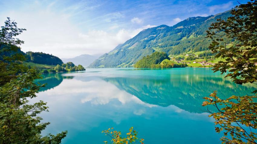 Walpaper, photo, background free download (74)