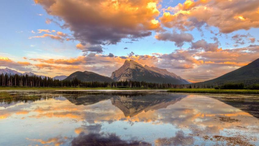Walpaper, photo, background free download (82)