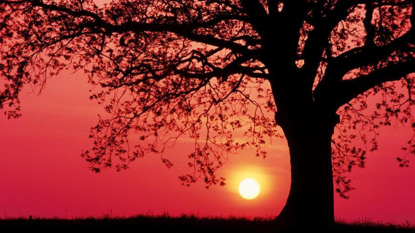 Landscape, animal, girl free download (13)