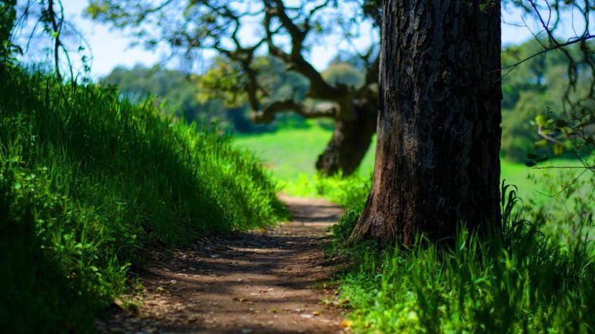 Wallpaper, people, landscape, free download (16)