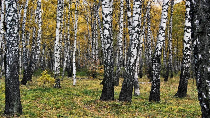 Wallpaper, people, landscape, free download (88)