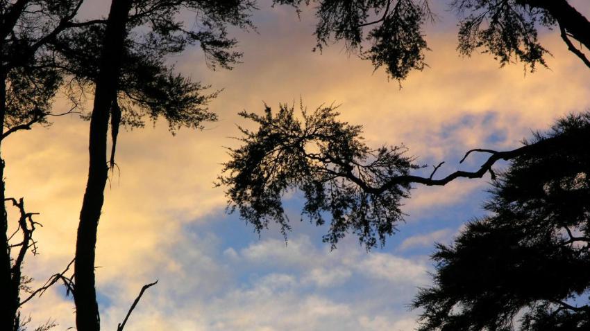 00279 barkbaysunset 2560x1440
