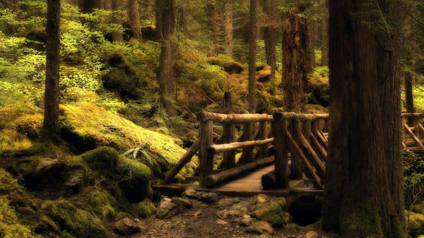 00385 mysterybridge 2560x1440