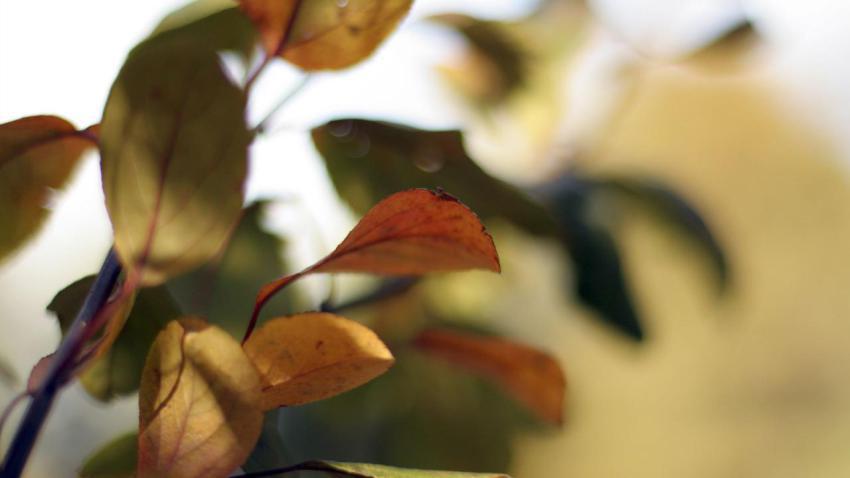 00529 colorsofchange 2560x1440