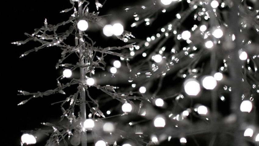 00585 metaltree 2560x1440