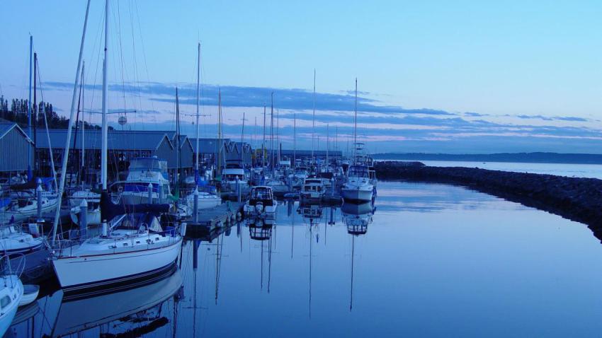 00692 apeacefulharbor 2560x1440
