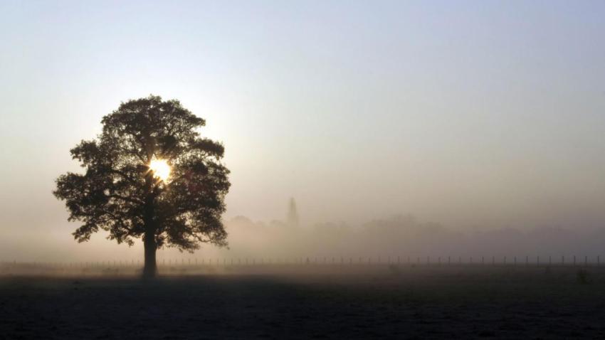 00701 airfieldsunrise 2560x1440