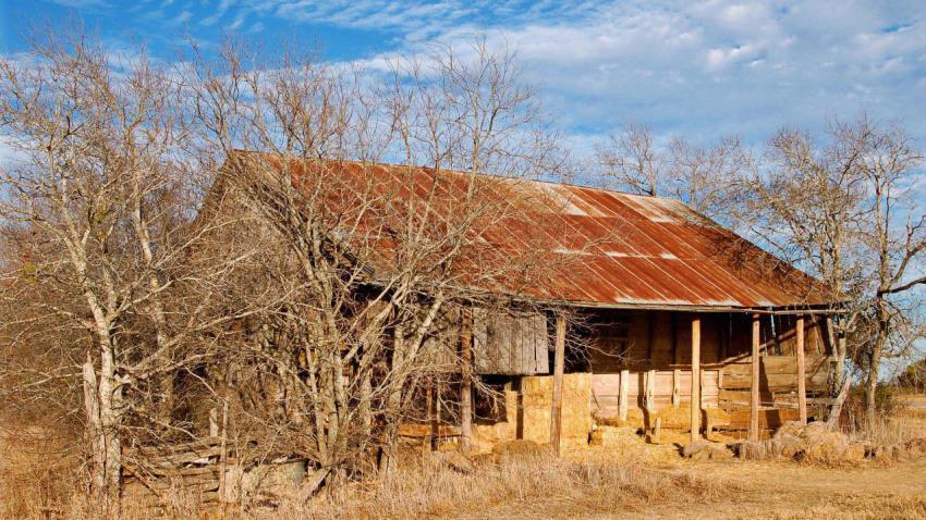 00773 oldleanderbarn 2560x1440