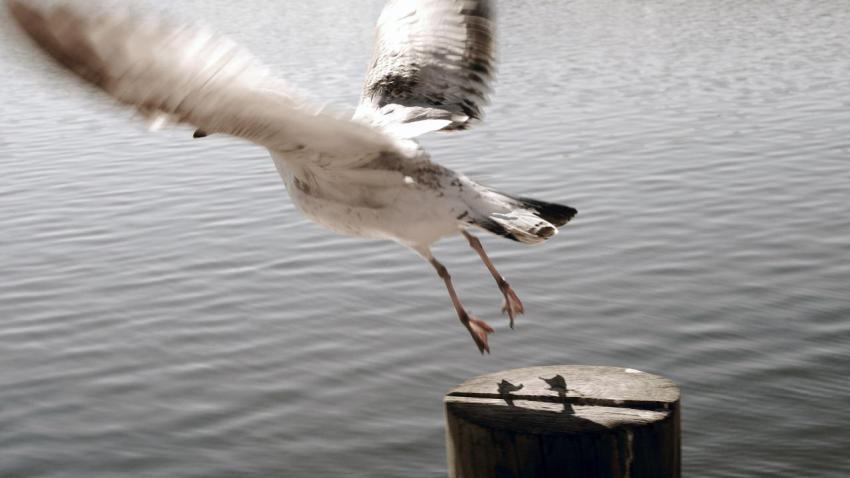 01124 takeoff 2560x1440