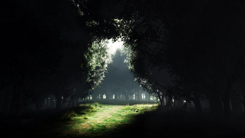 01156 darknesstolight 2560x1440