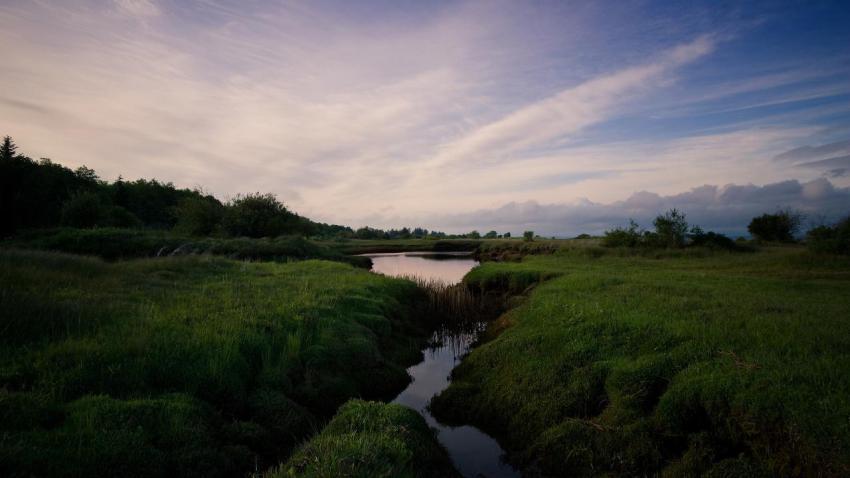 01280 marshlandsunset 2560x1440