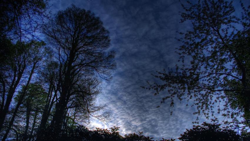 01306 bluemorning 2560x1440