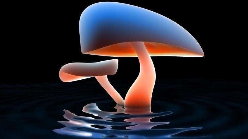 01326 mushroomlake 2560x1440