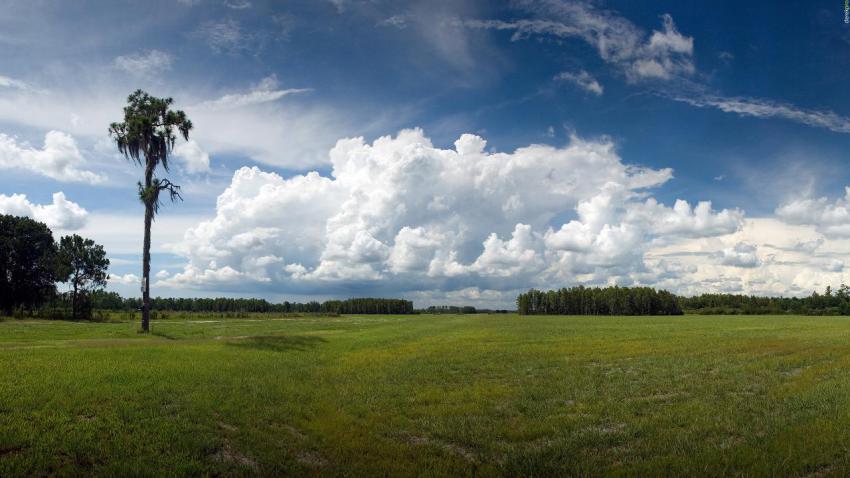 01335 aloneagainstthestorm 2560x1440