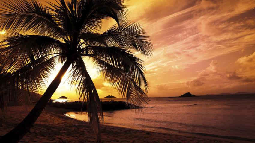 01458 sunsetatthebay 2560x1440