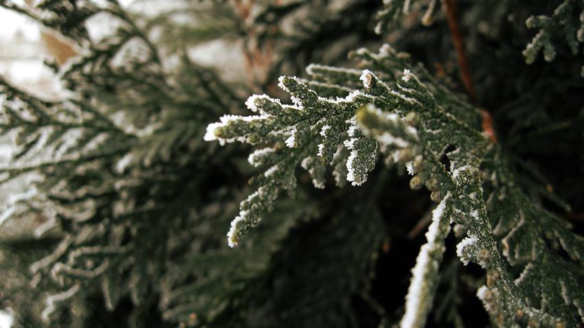 01467 agreenwinter 2560x1440