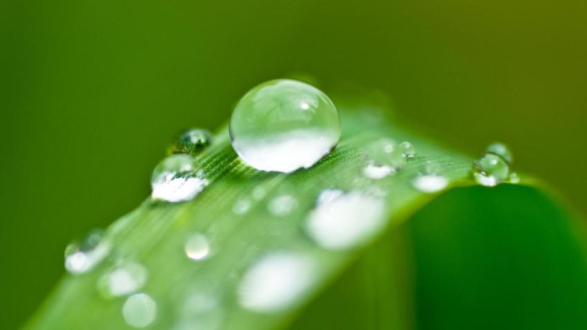 01603 droplets 2560x1440