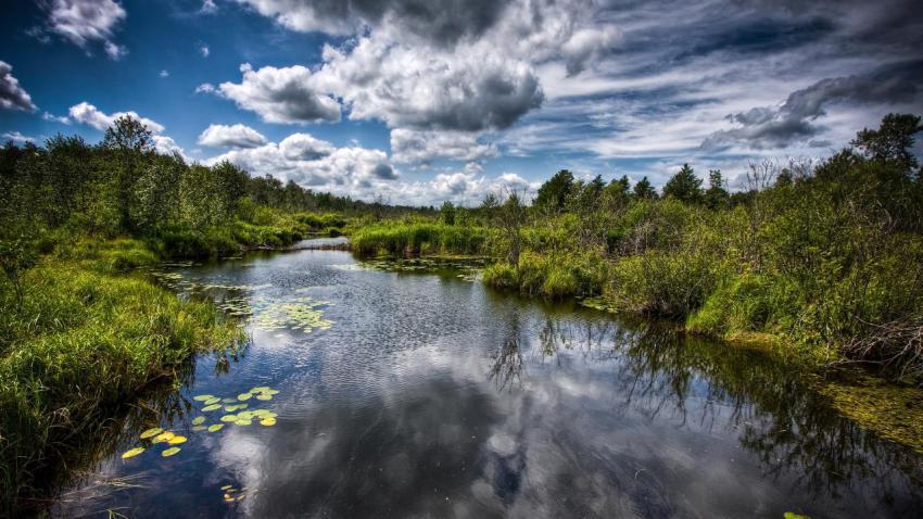 01646 beautifulstream 2560x1440