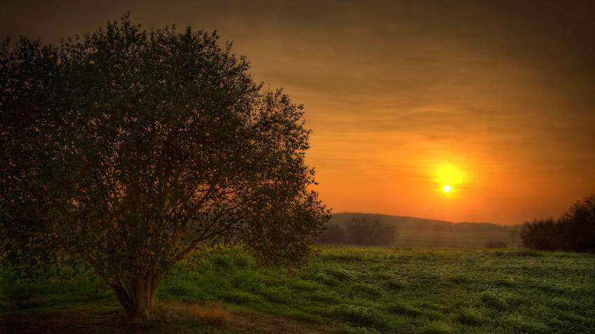 Mystic Sunset