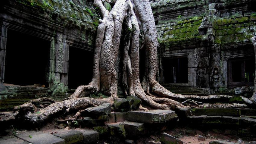 01724 amazingtaprohmtombraidertemple 2560x1440