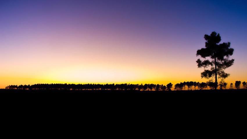01812 nightlights 2560x1440