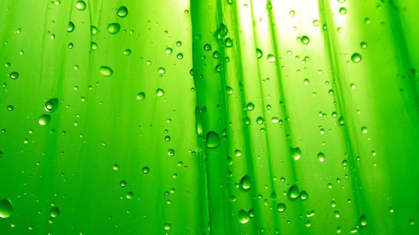 01831 greensimplicity 2560x1440