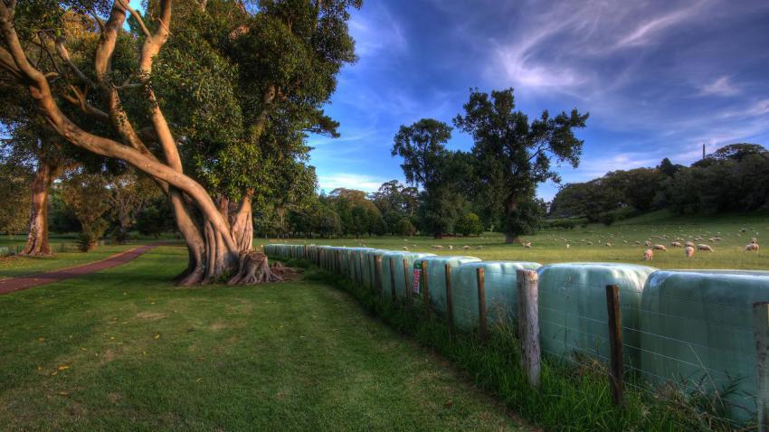 01869 atthepark 2560x1440