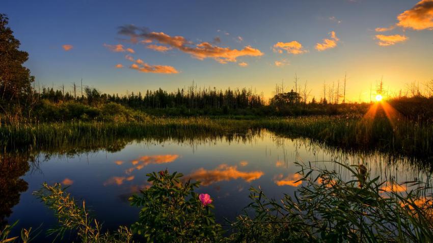 01953 peacefulsunset 2560x1440