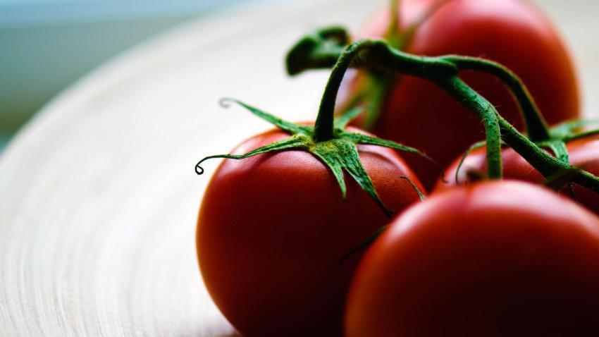 01990 solanum 2560x1440