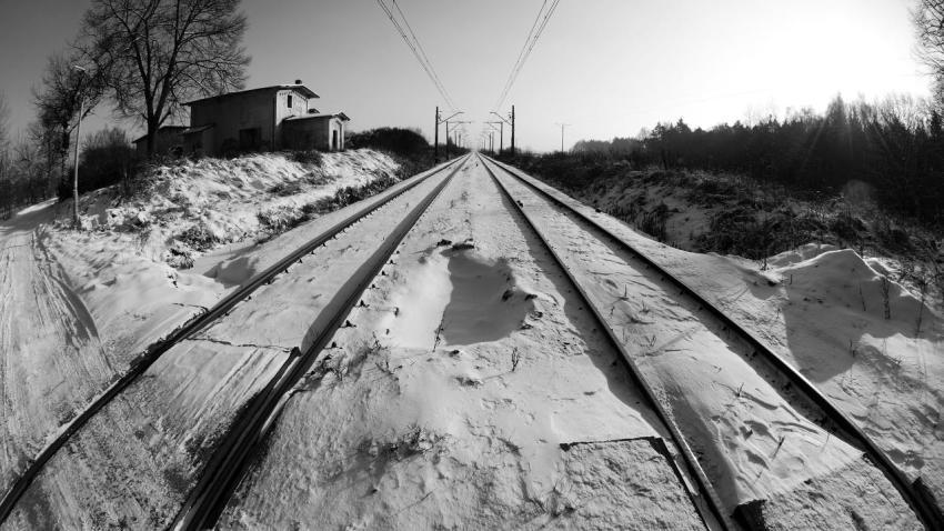 02126 snowytracks 2560x1440