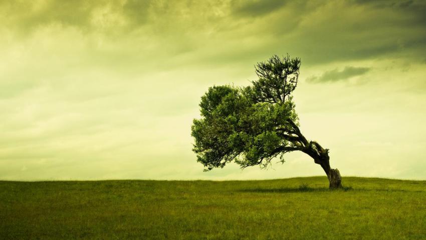 02154 standalonecleanwallpaper 2560x1440