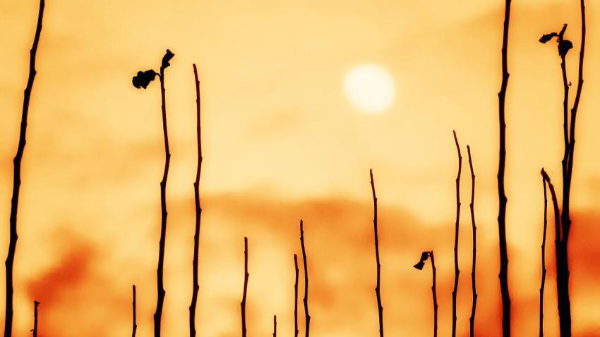 02159 sunset 2560x1440