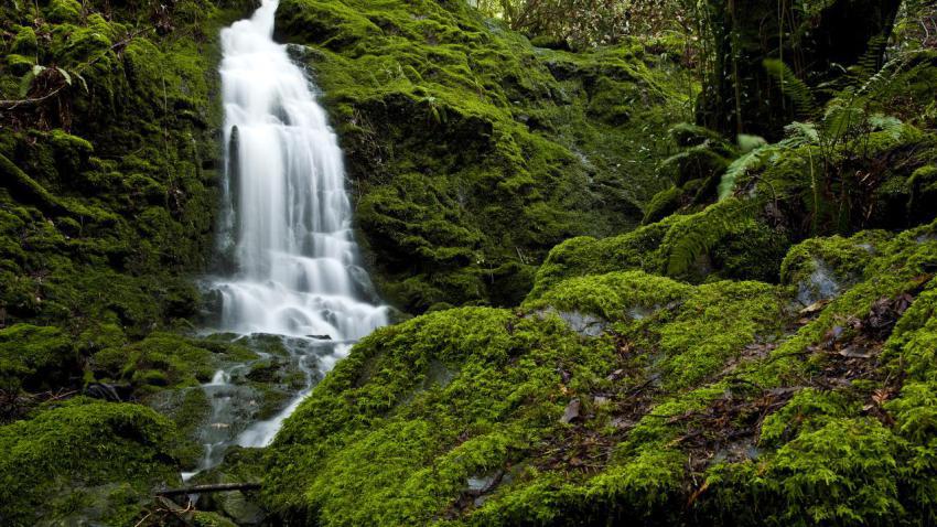 02182 campmeekerwaterfall 2560x1440