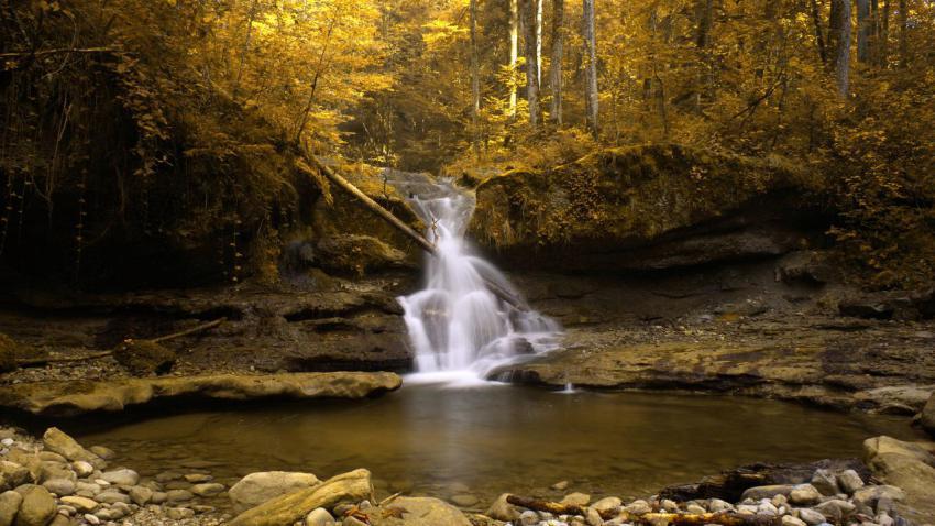 02217 goldenstream 2560x1440