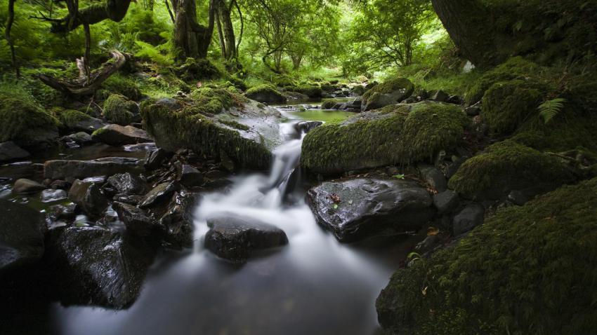 02329 somewhereinexmoor 2560x1440