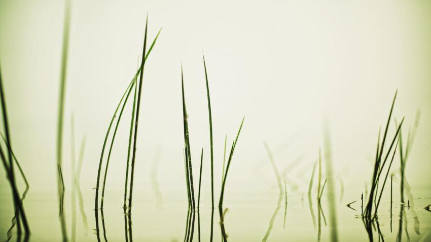 02349 away 2560x1440