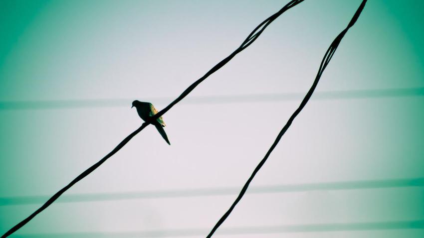 02371 watching 2560x1440