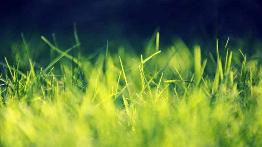 02396 playingwithsunlight 2560x1440