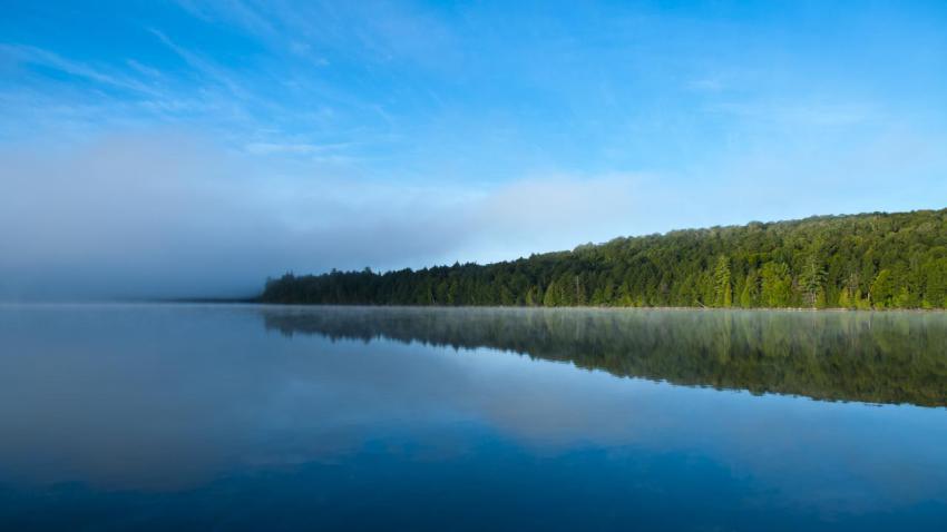 02400 morningmist 2560x1440