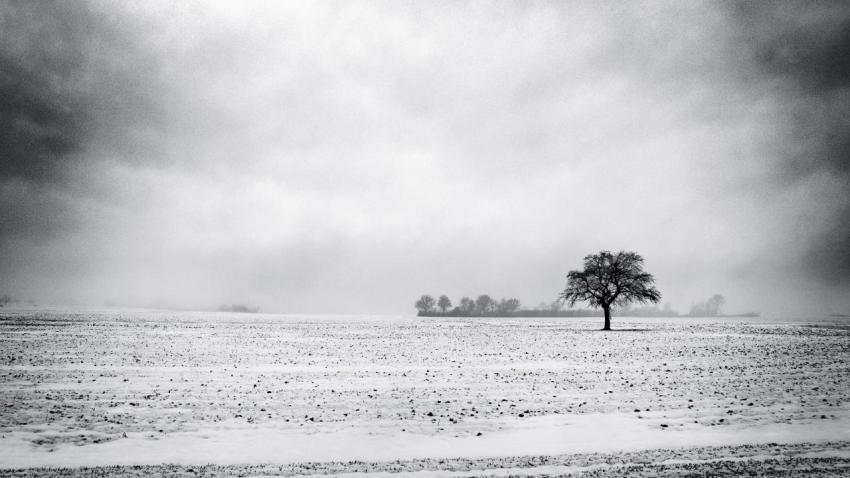 02476 winterlandscape 2560x1440