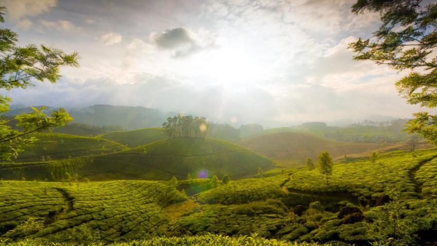 02514 thehillsofmunnar 2560x1440
