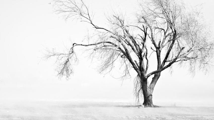 02518 deserted 2560x1440