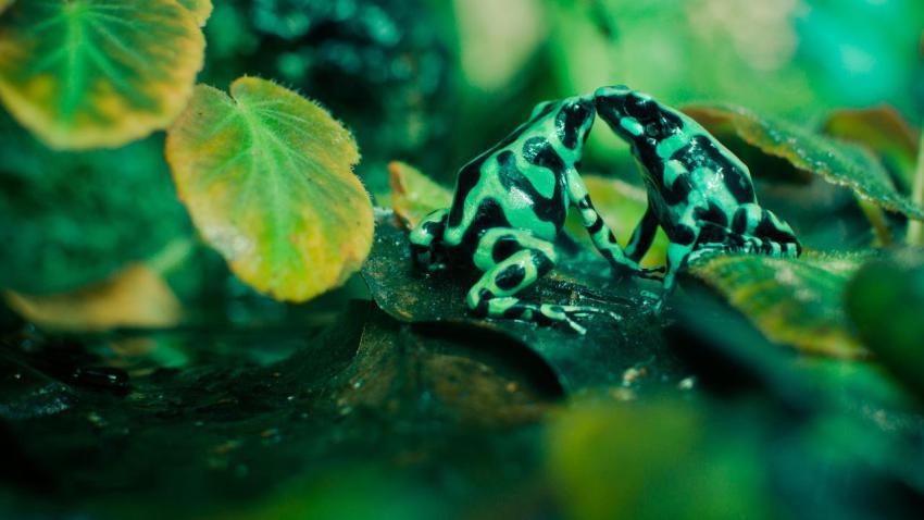 02534 slimyaffection 2560x1440