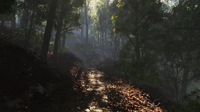 02546 forestforthetrees 2560x1440