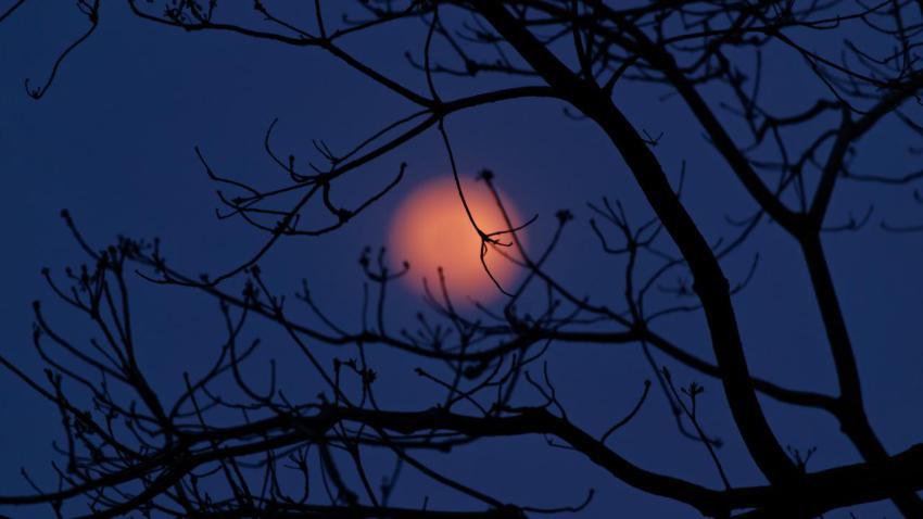 02578 aprilmoon 2560x1440