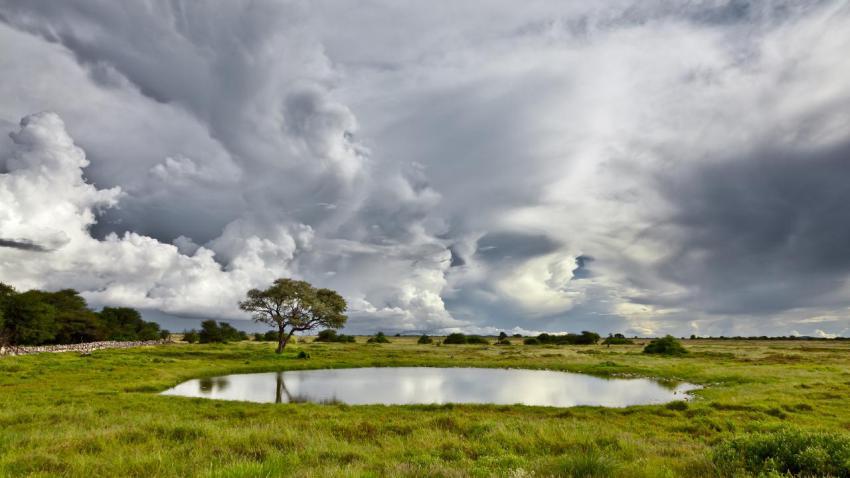 02580 thewaterhole 2560x1440