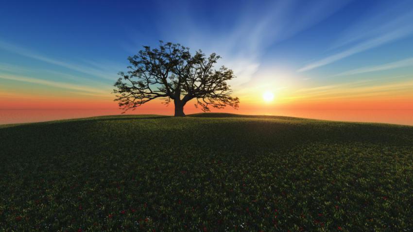 02582 sunsethill 2560x1440